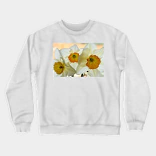 Narcissus 'Sempre Avanti' Div. 2 Large-cupped Daffodil Crewneck Sweatshirt